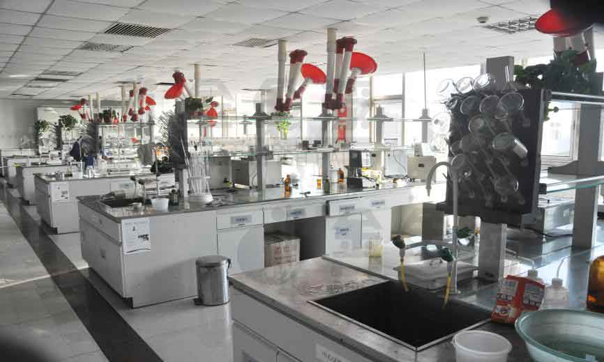 科技締造美麗(圖8)