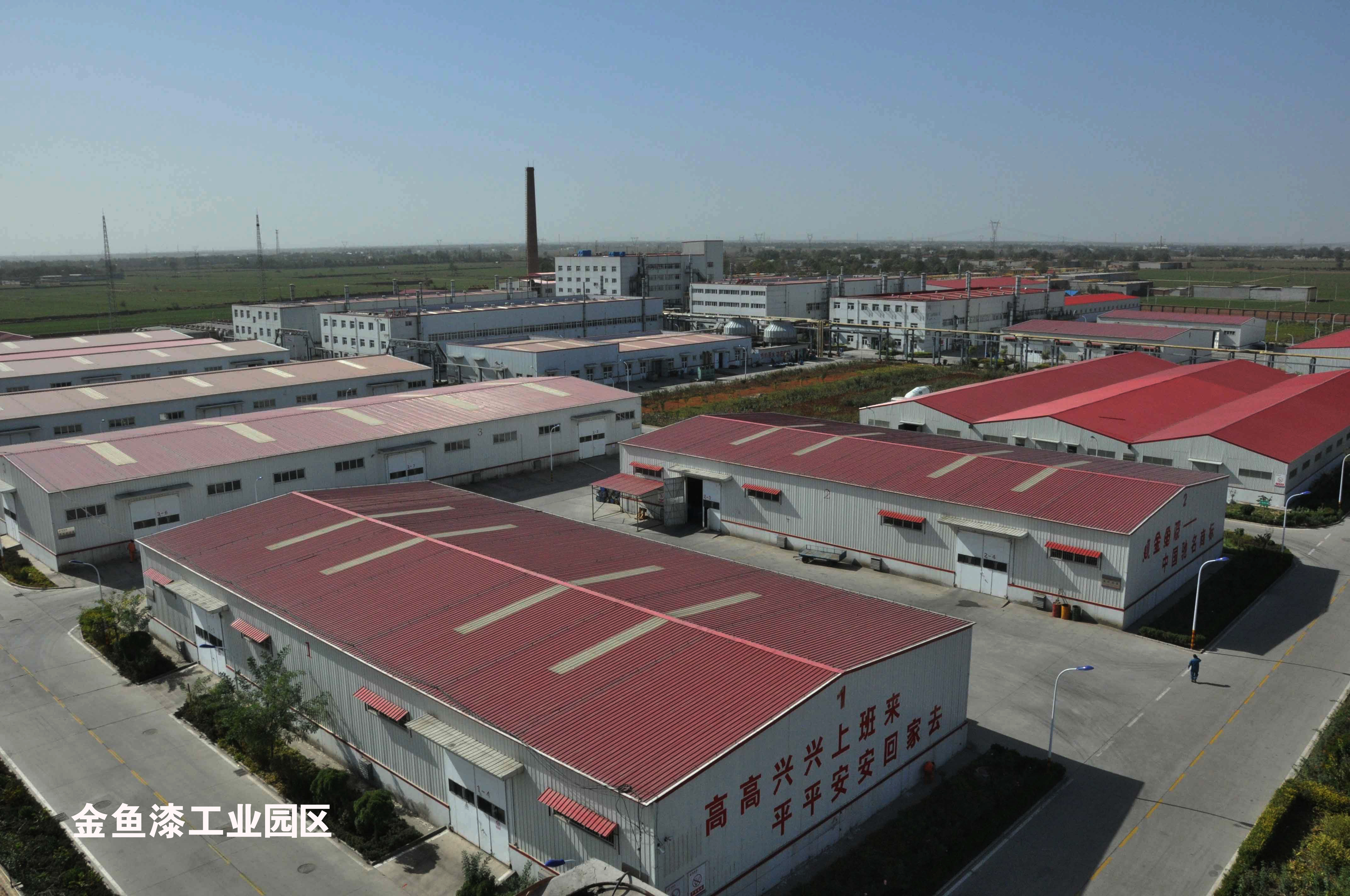 金魚(yú)簡(jiǎn)介(圖2)